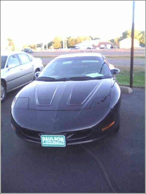 firebird3.jpg