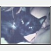 mittens2.jpg