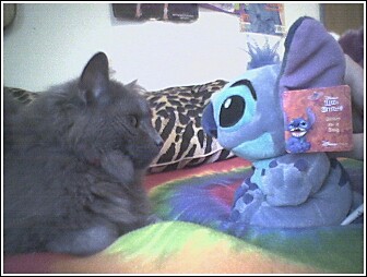 tashaandstitch.jpg